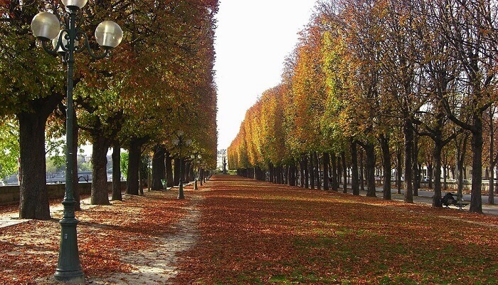 Co Robic Jesienia W Paryzu Paryz Pl