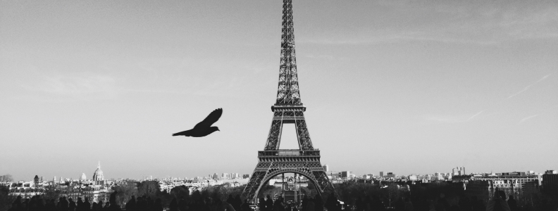 L’union fait la force. W jedności siła. #prayforparis L’union fait la force. W jedności siła. #prayforparis