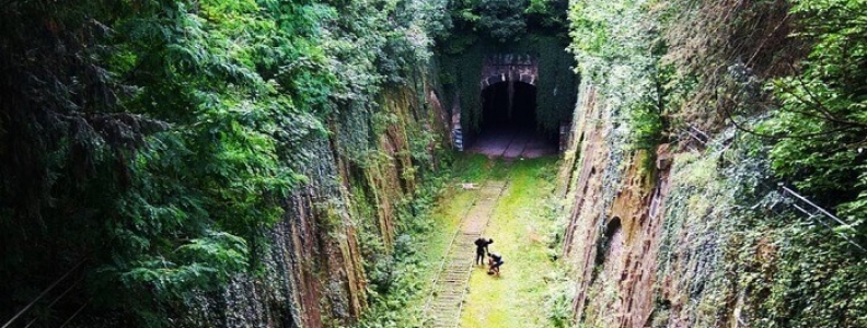 Petite Ceinture – stare torowisko w Paryżu Petite Ceinture – stare torowisko w Paryżu
